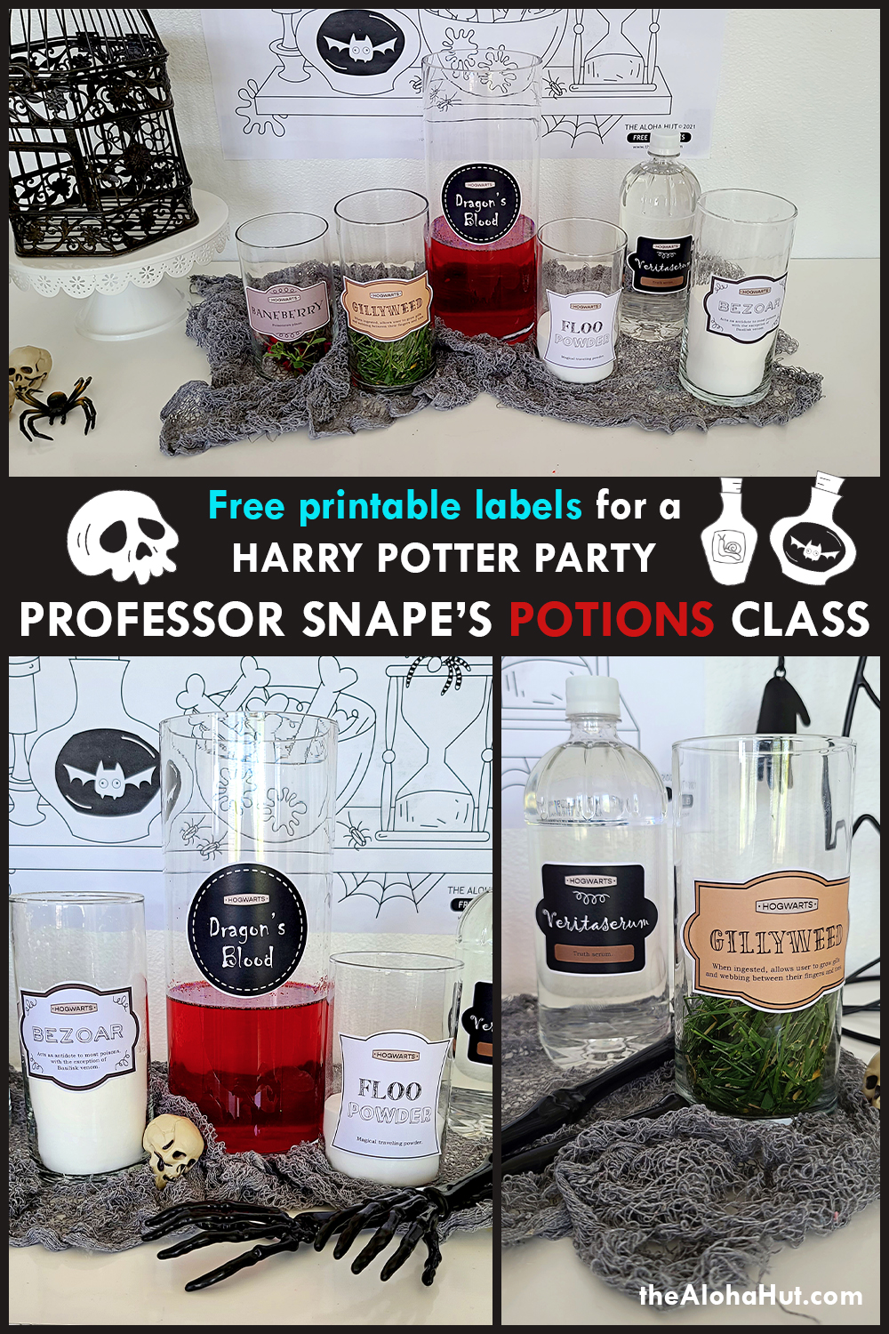 Harry Potter Party Potions Class by the Aloha Hut