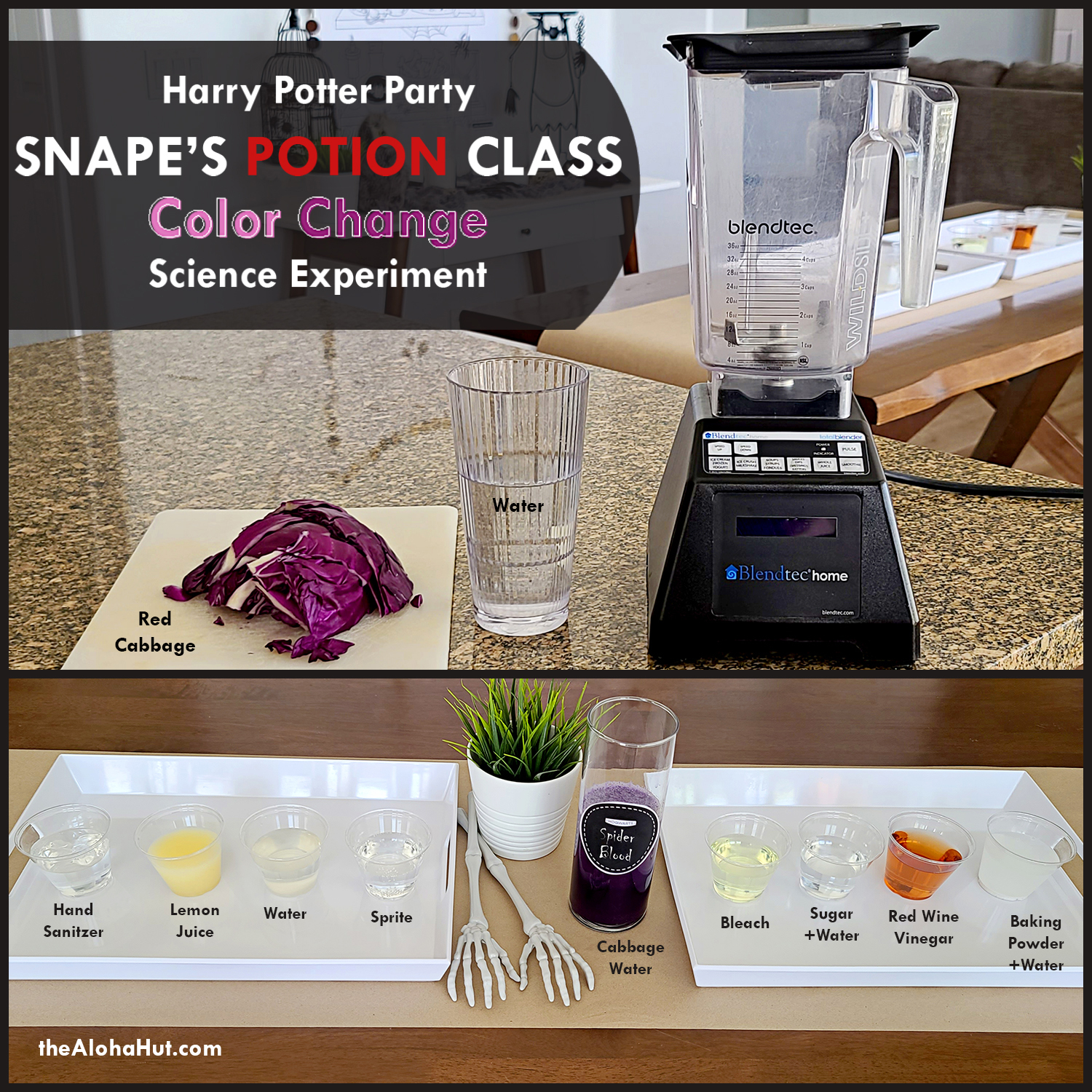 Harry Potter Party Potions Class by the Aloha Hut