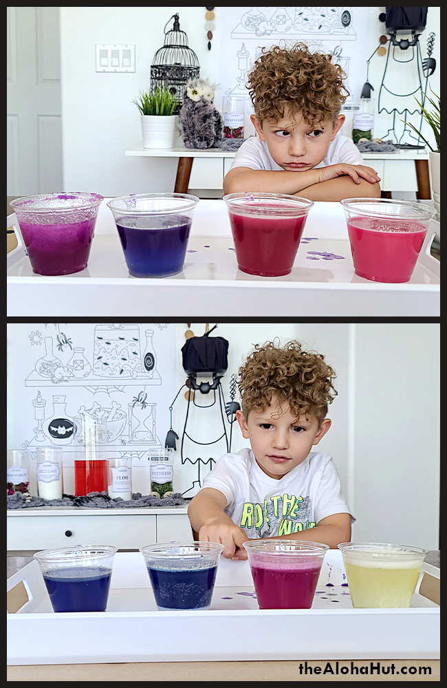 Harry Potter Party Potions Class by the Aloha Hut