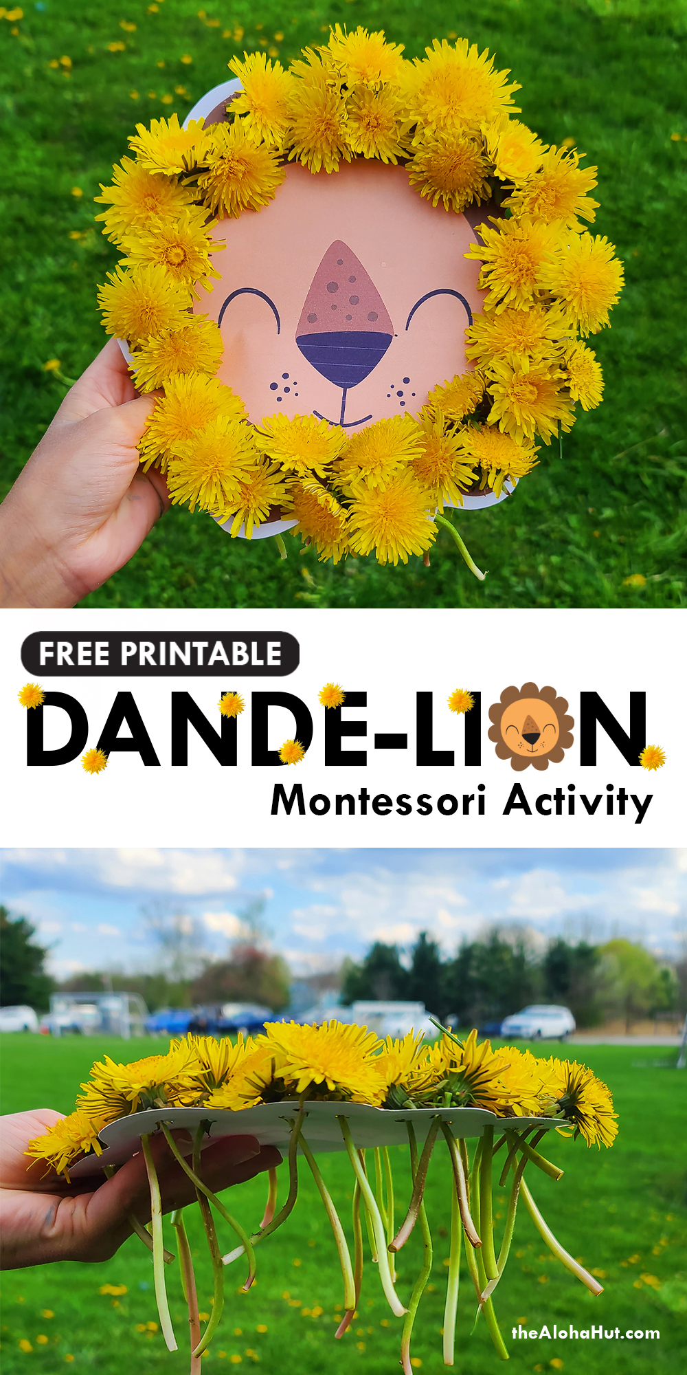 Free Printable Dande-lion Montessori Activity - The Aloha Hut