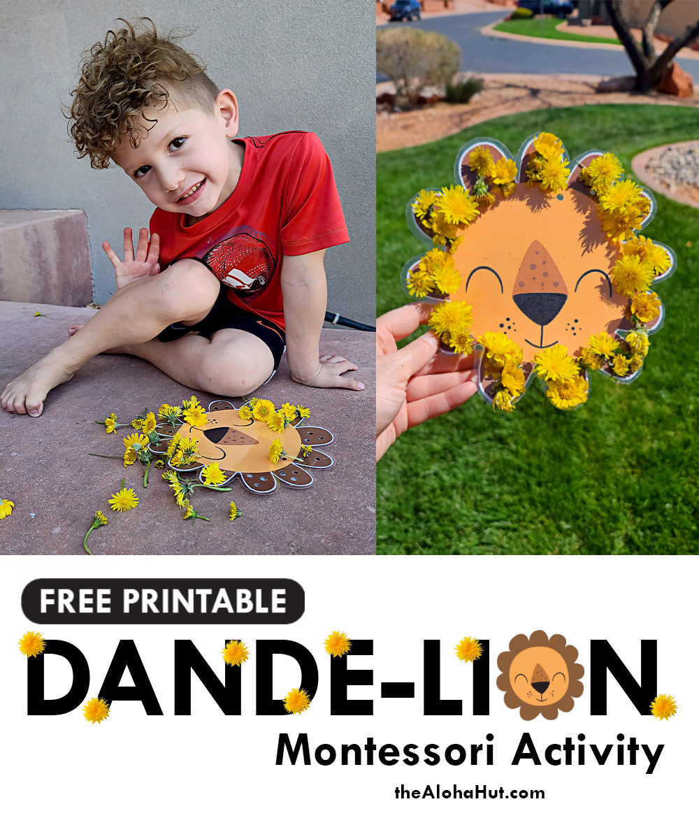 free printable dande-lion montessori activity 5 by the Aloha Hut