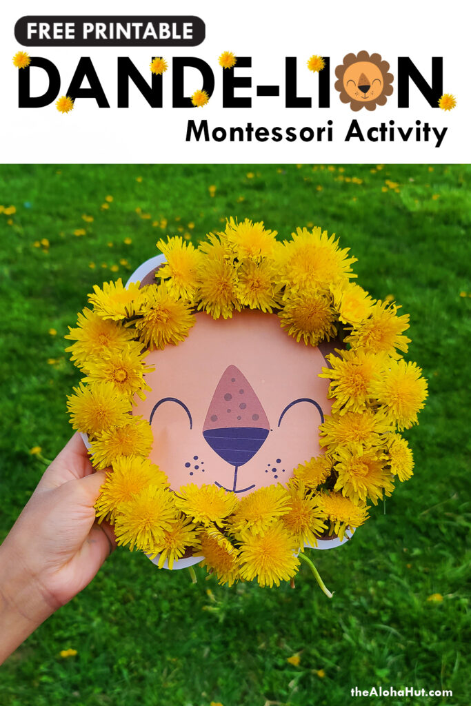 free printable dande-lion montessori activity by the Aloha Hut