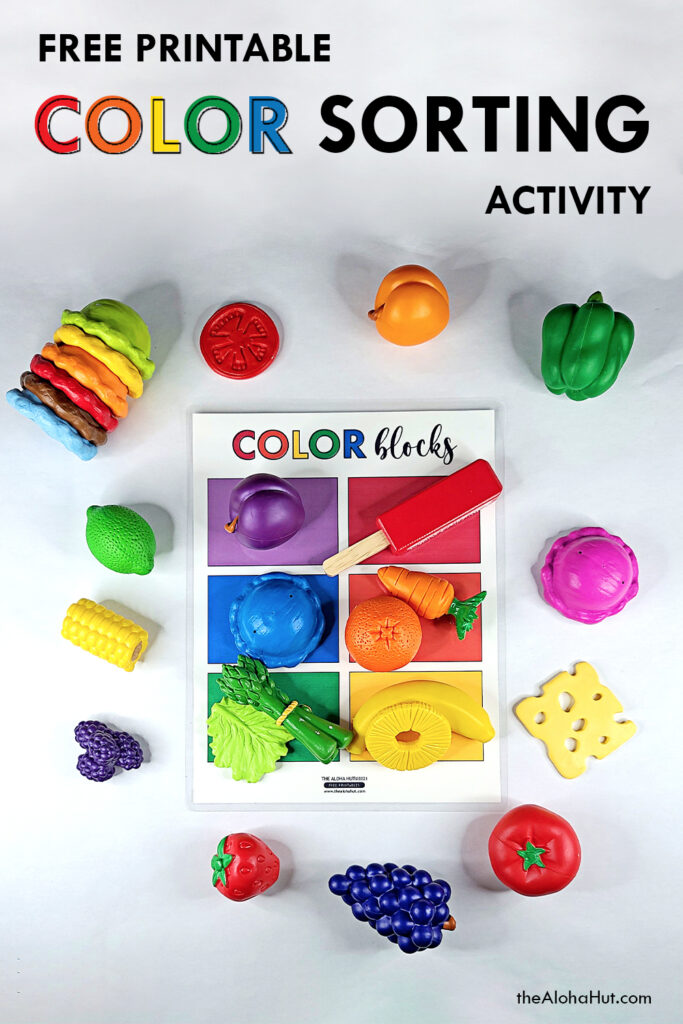 color sorting activity by the Aloha Hut
