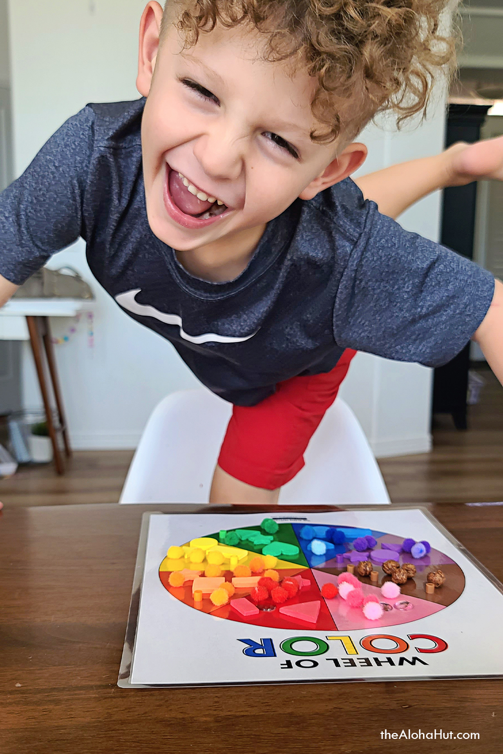 color sorting activity by the Aloha Hut