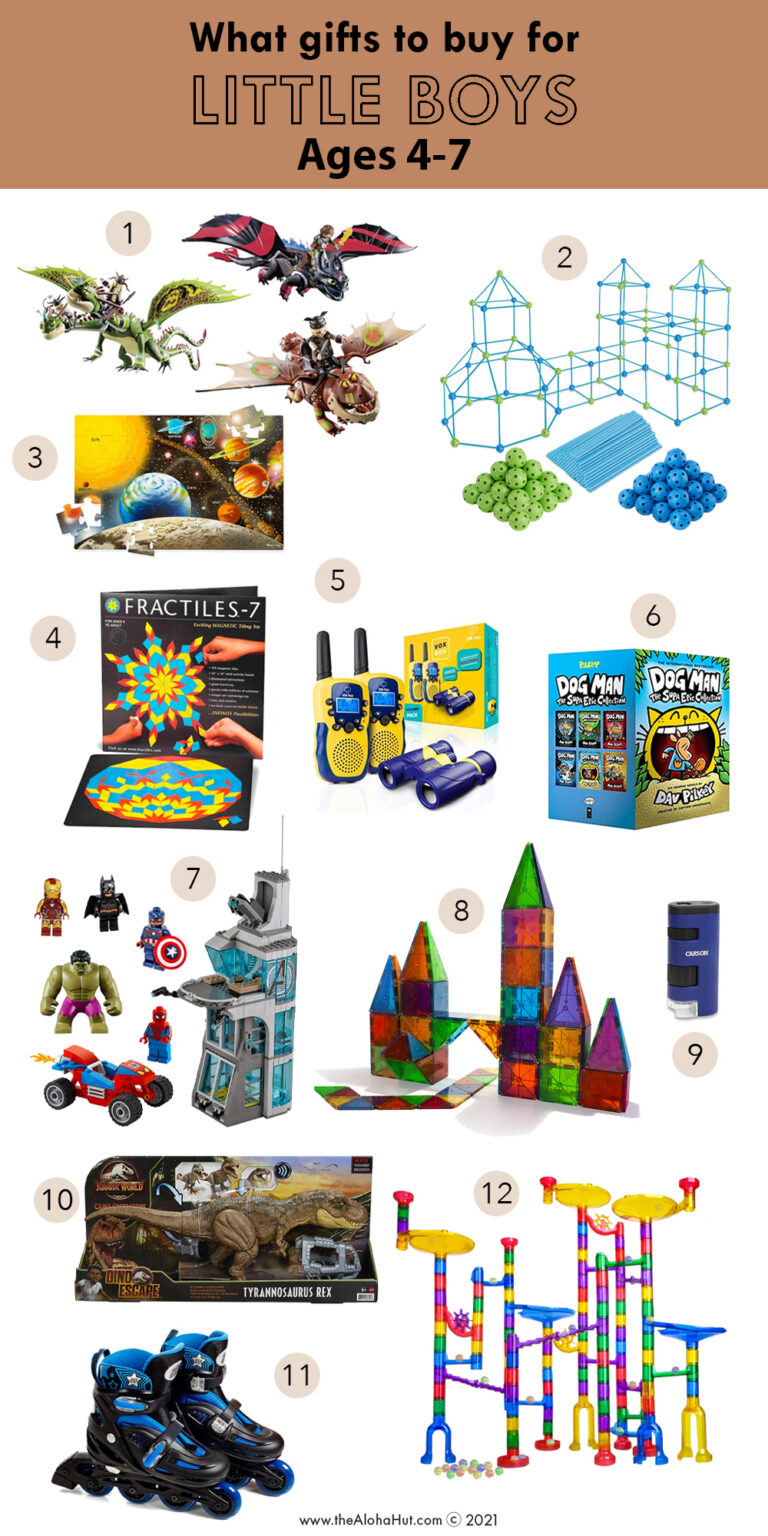 gift-guide-for-little-boys-ages-4-to-7-the-aloha-hut