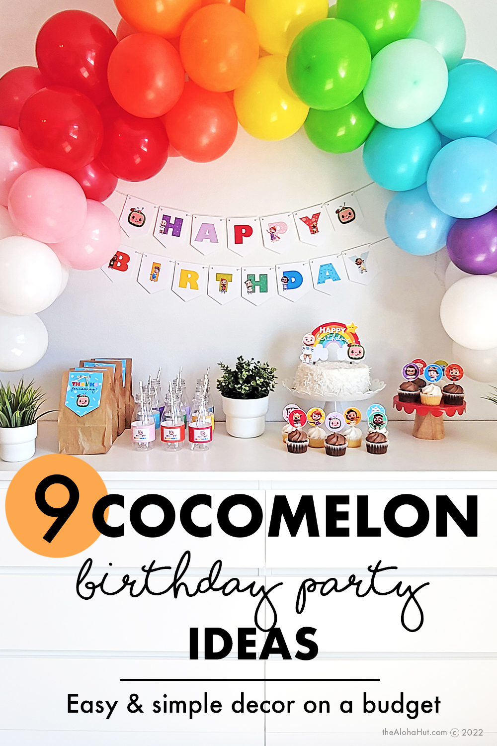 9 Cocomelon Birthday Party Ideas