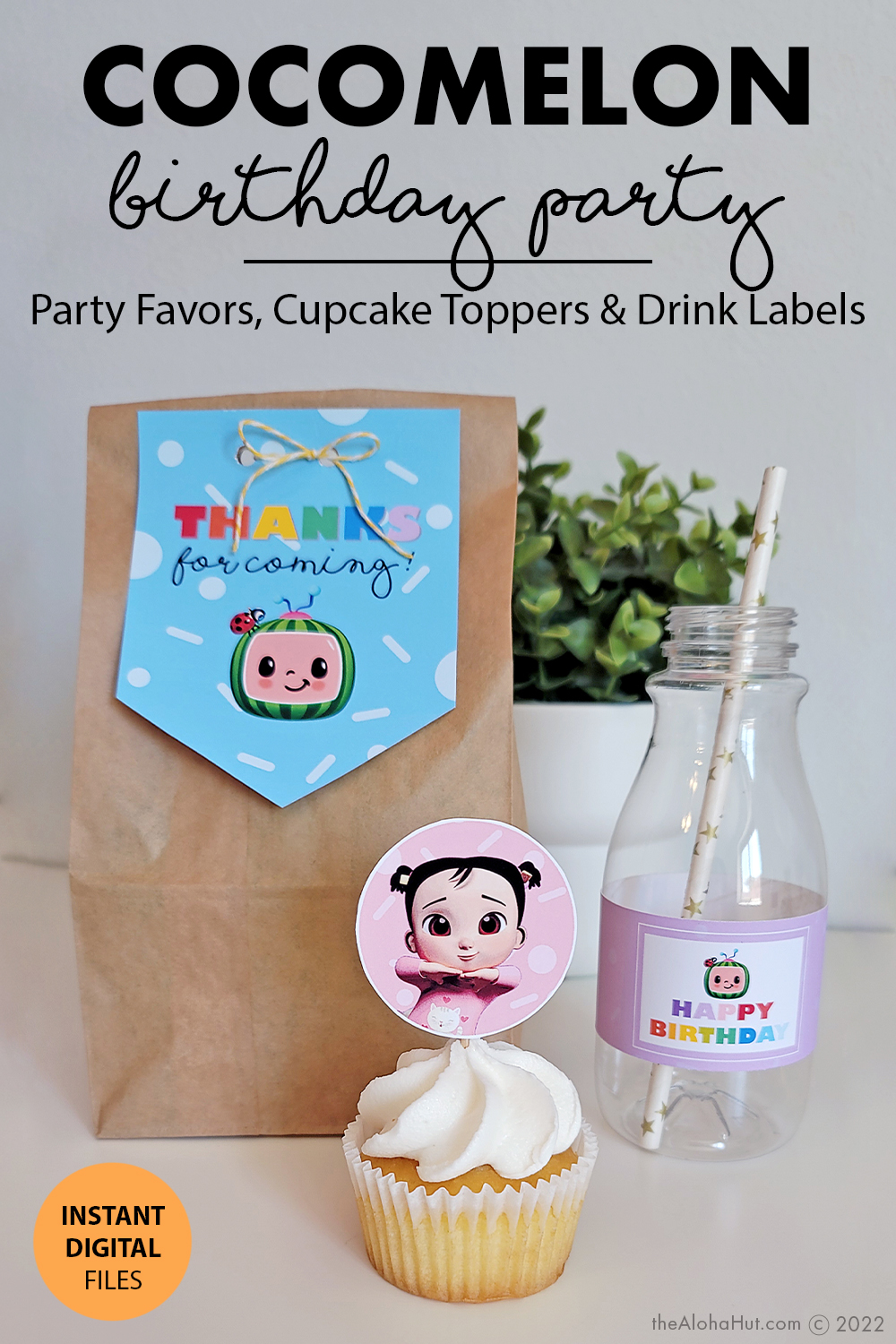 9 Cocomelon Birthday Party Ideas