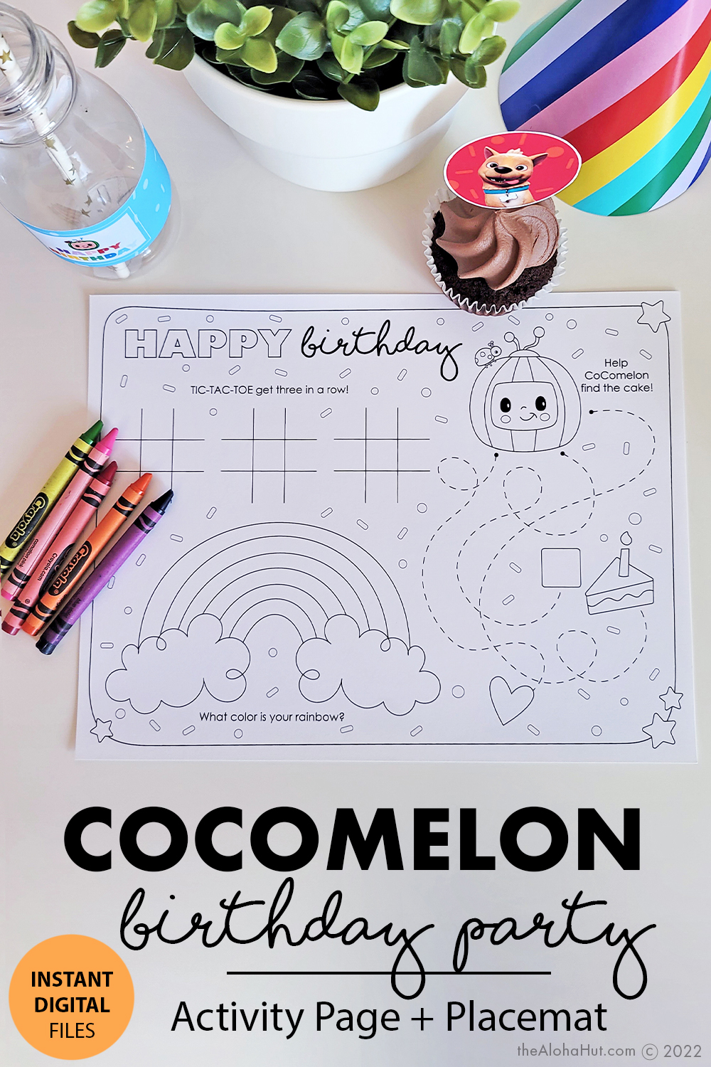9 Cocomelon Birthday Party Ideas