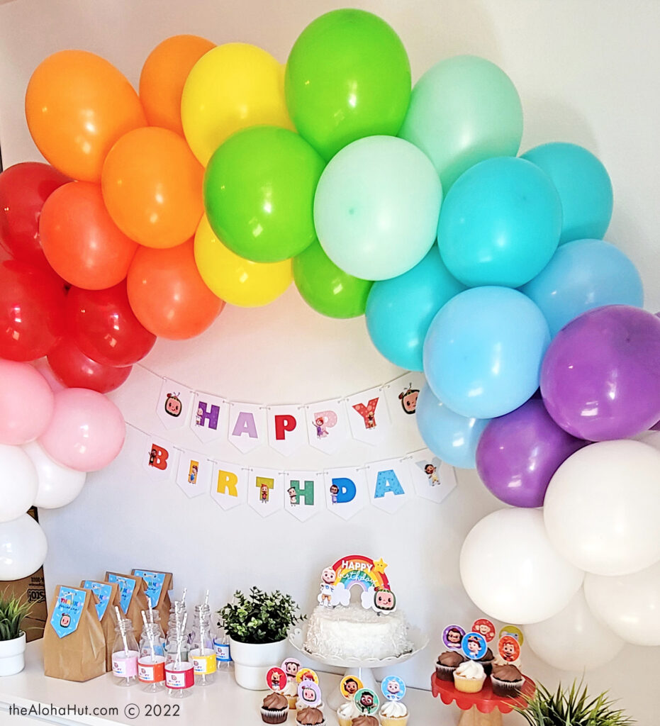 9 Cocomelon Birthday Party Ideas