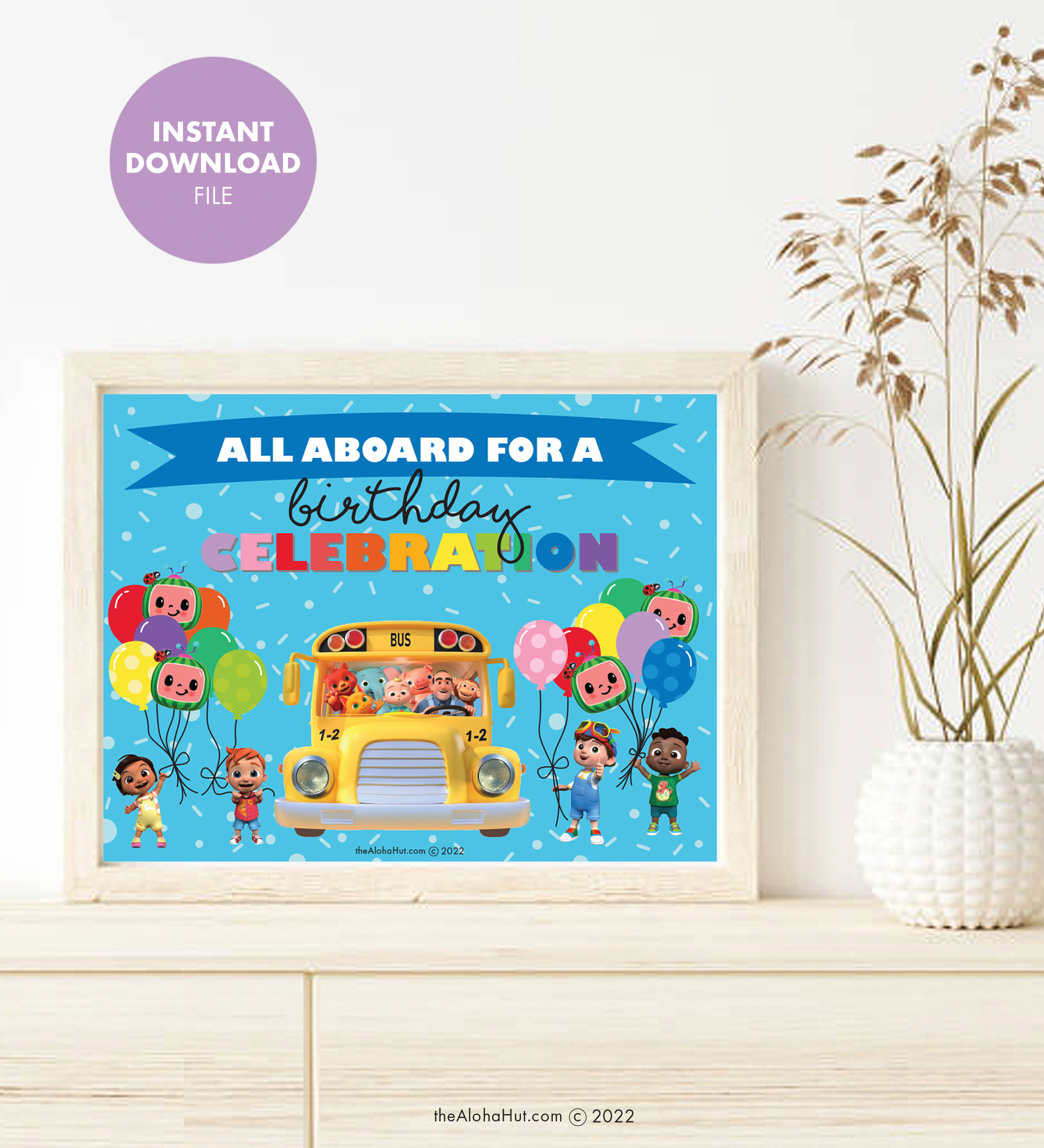9 Cocomelon Birthday Party Ideas