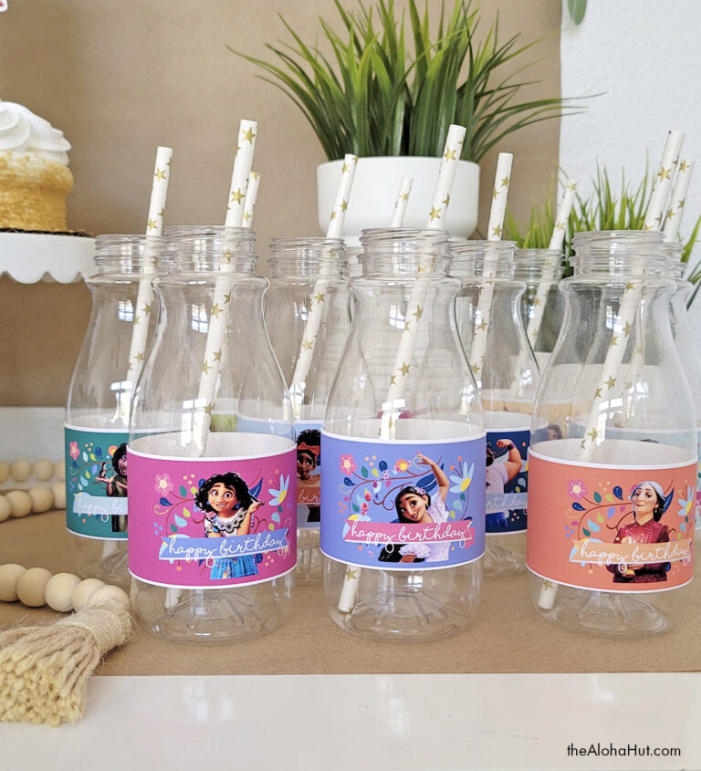 13 Magical Encanto Party Ideas Part 1 Decor The Aloha Hut