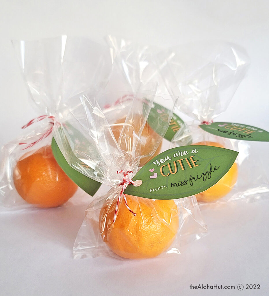 Valentines - Cutie Mandarin Orange