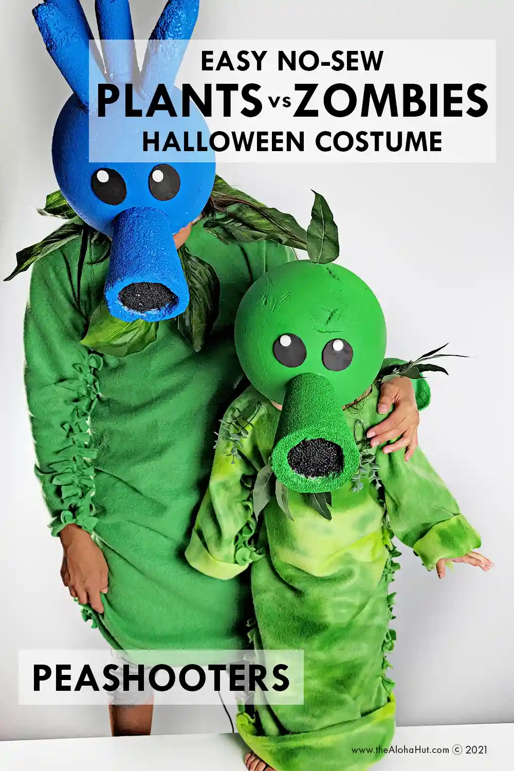 Adults PLANTS VS ZOMBIES Zombie Costume