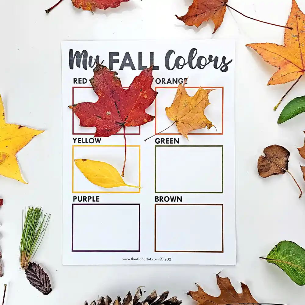 My Fall Colors - Fall Scavenger Hunt Activity - Fall Art Activity - free printable