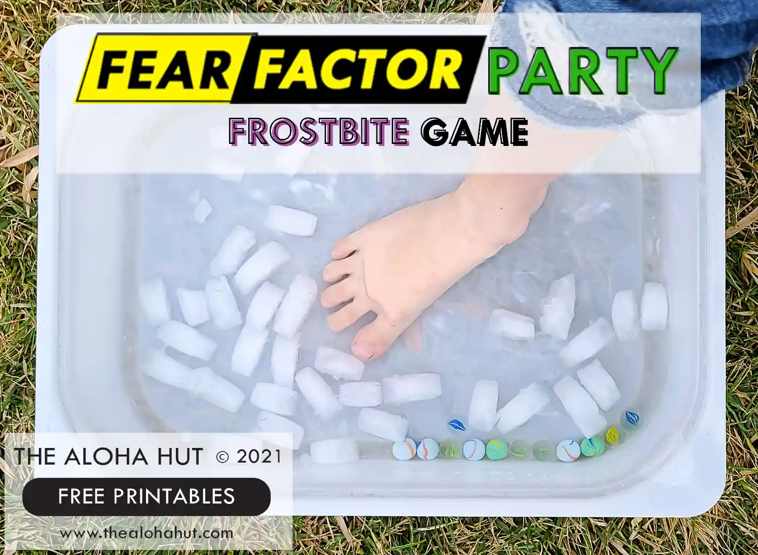 Fear Factor Party Ideas - game Frostbite