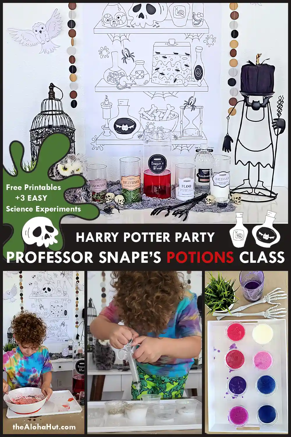 Harry Potter Party: Potions Class - The Aloha Hut
