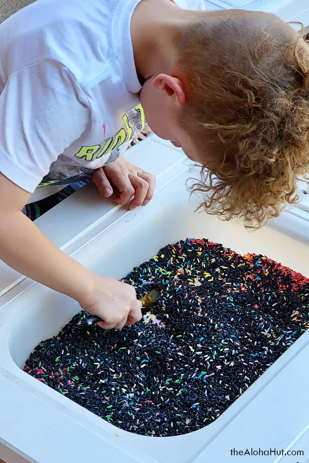 Among Us sensory table activity idea for kids, toddlers, and preschoolers. Download the printable I Spy Among Us game and instructions for an easy and fun kids sensory activity!