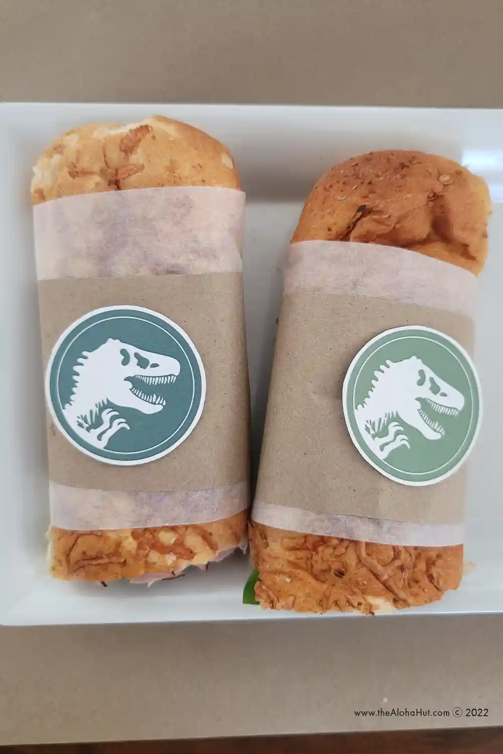 Jurassic World Camp Cretaceous Party Ideas - Dinosaur Party Ideas - free printable party decor & games - party favor tags