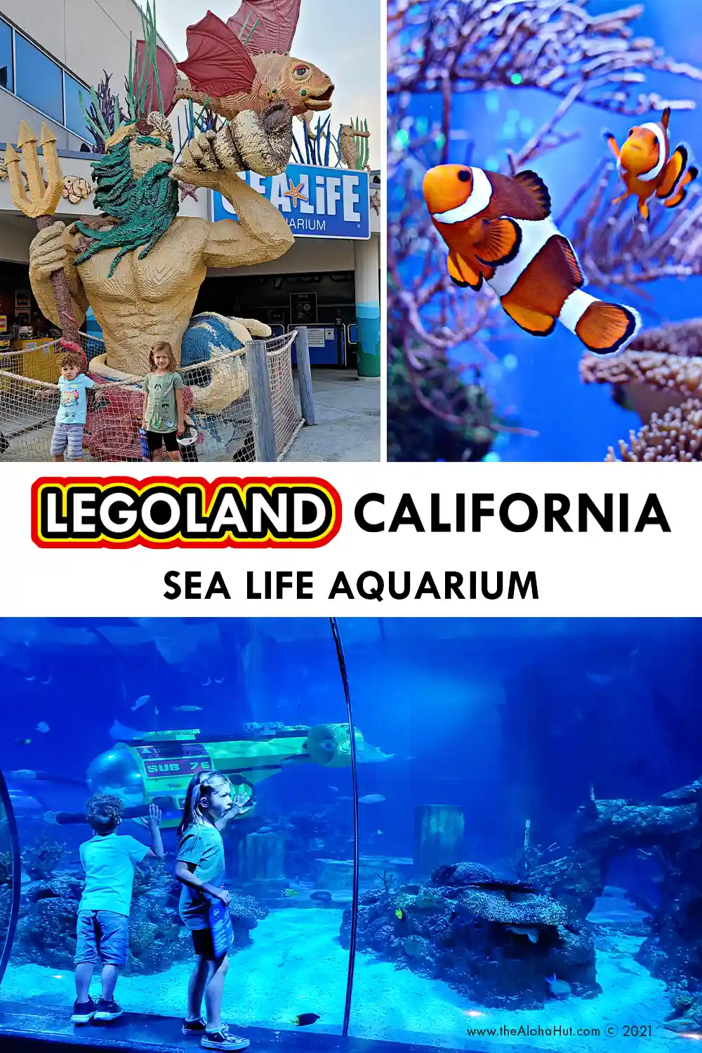 Legoland California - A Complete Guide for Families - tips & tricks - Sea Life Aquarium