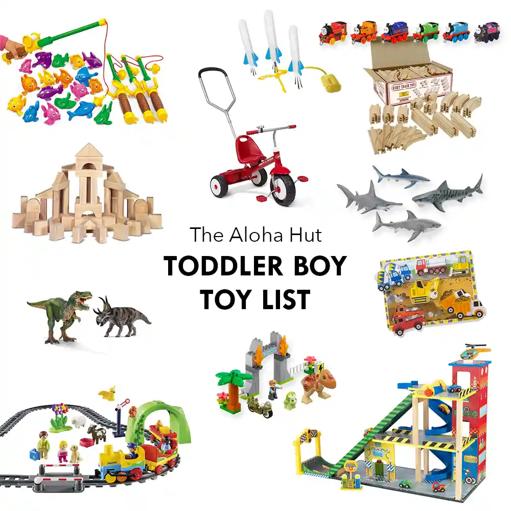 Toddler Boy Toy List