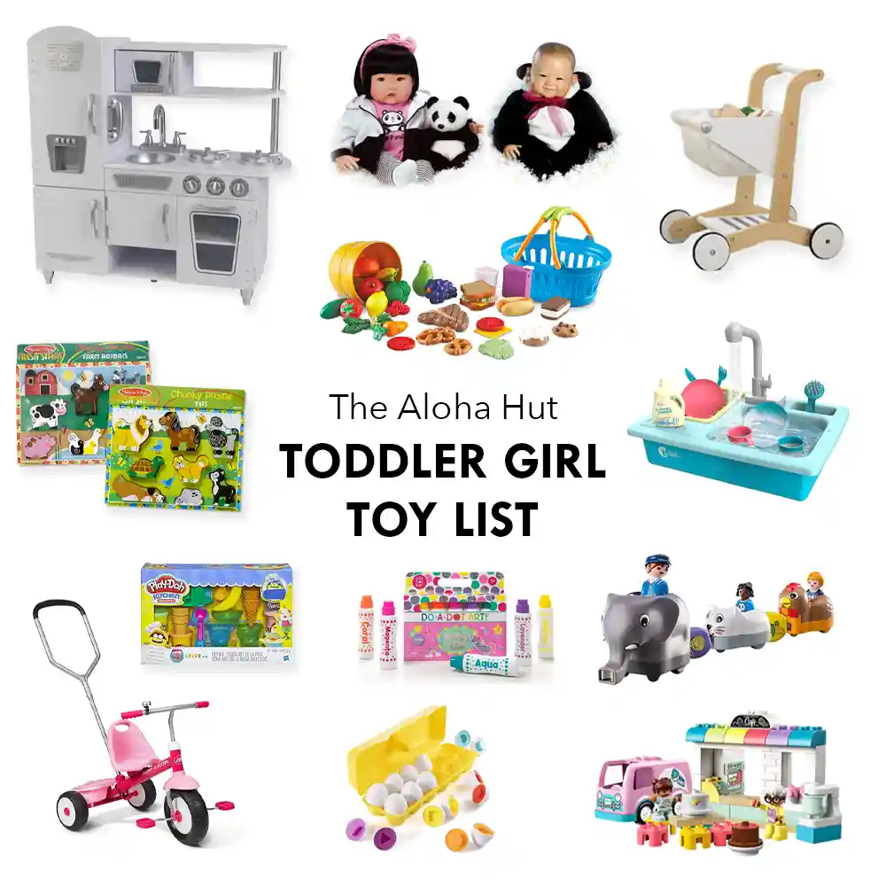 Toddler Girl Toy List