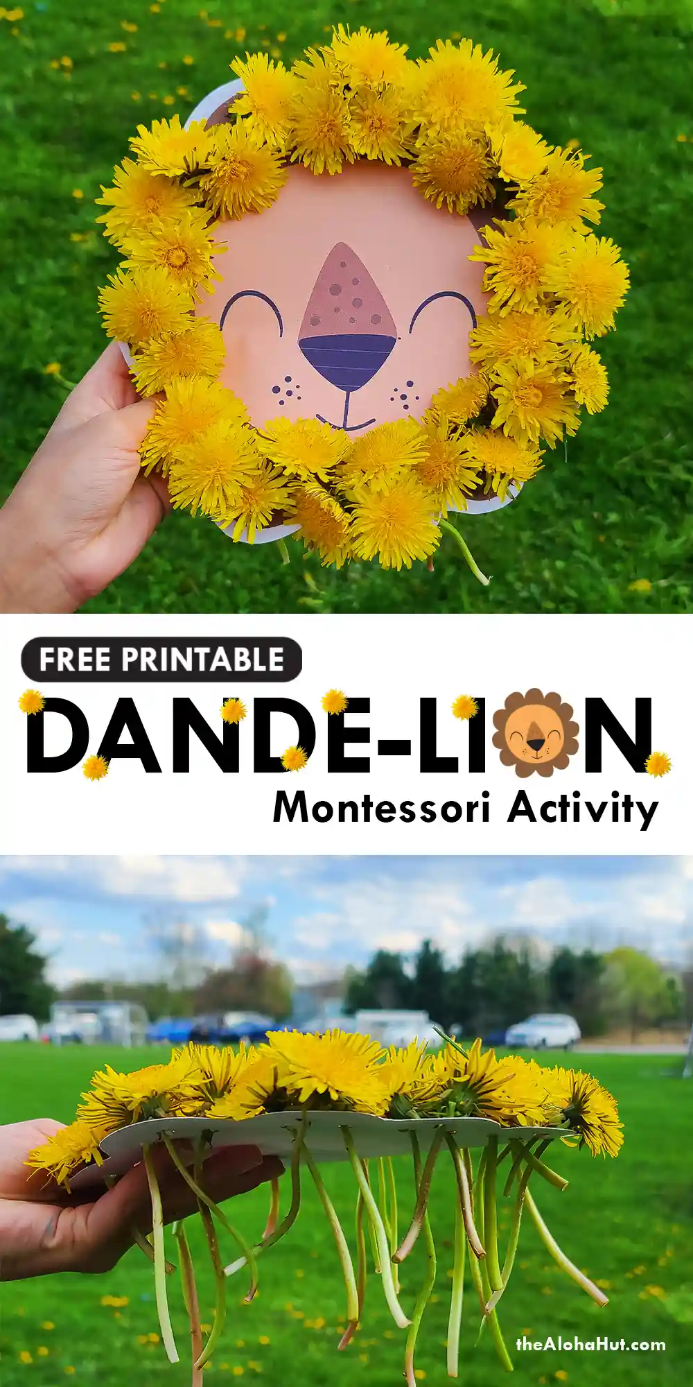 Dandelion Montessori Activity - threading activity - toddler activity - free printable - The Aloha Hut