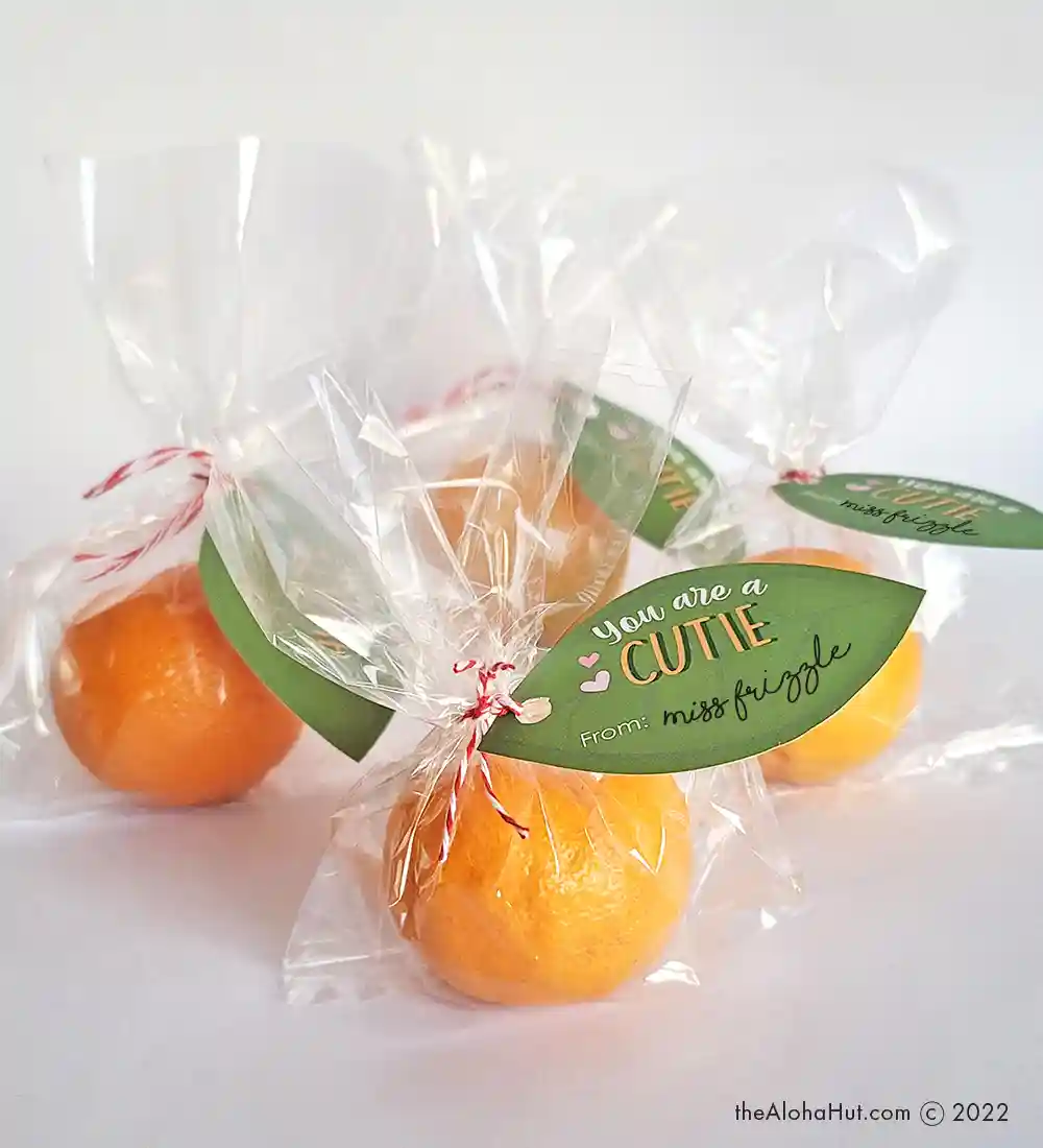 DIY Valentine's Day Card Ideas - Mandarin Oranges - Cuties