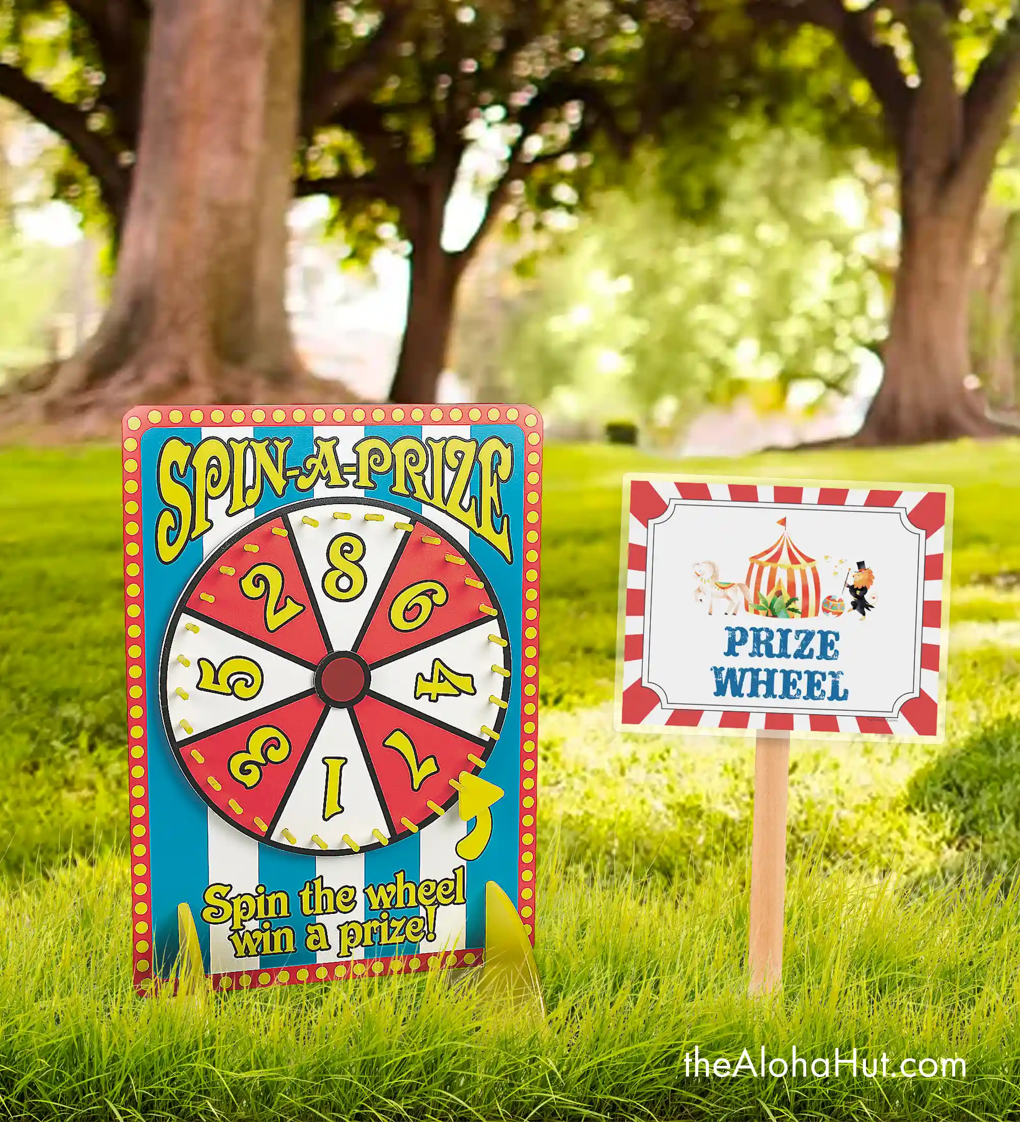 Carnival Party Ideas - Carnival Games - Prize Wheel
