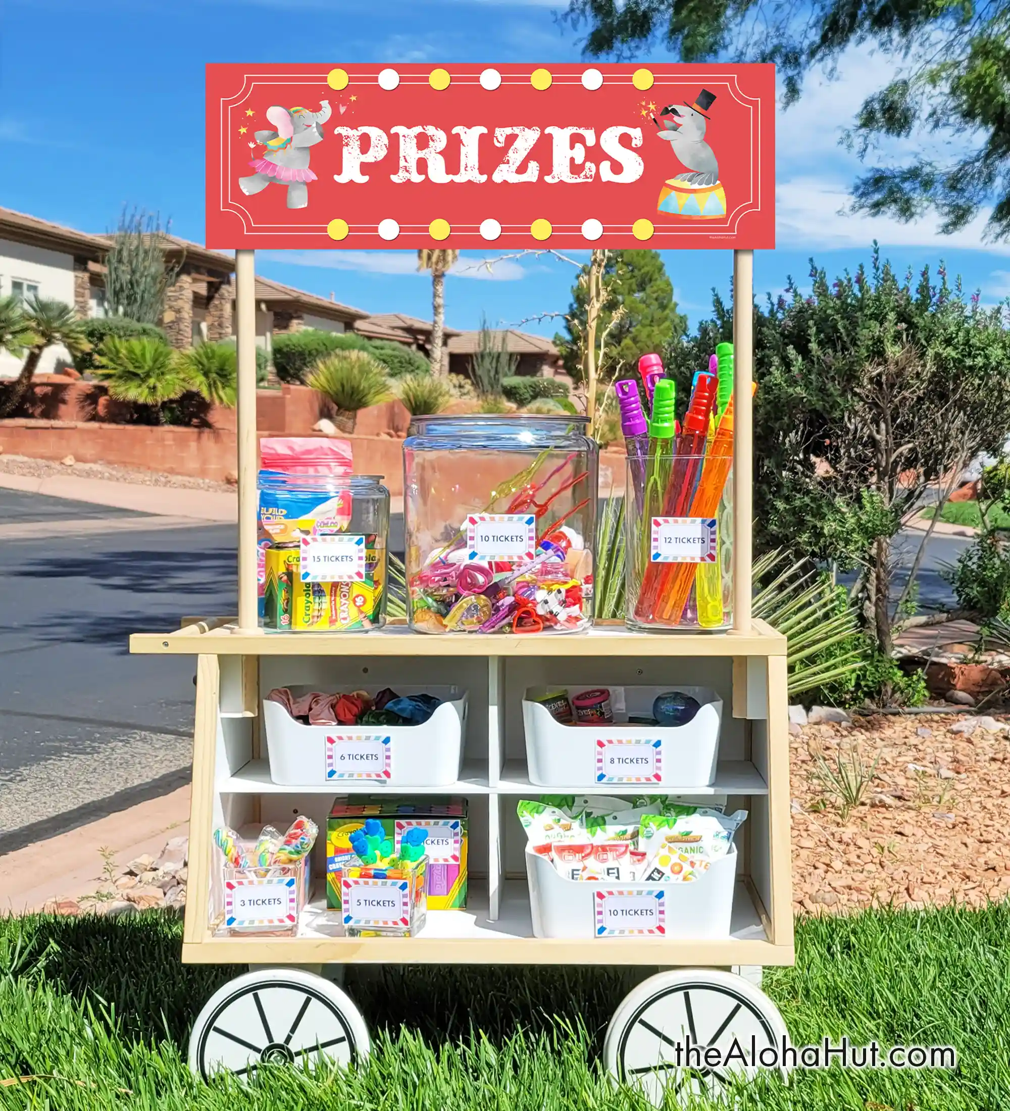 Carnival Party Ideas - Prize Sign