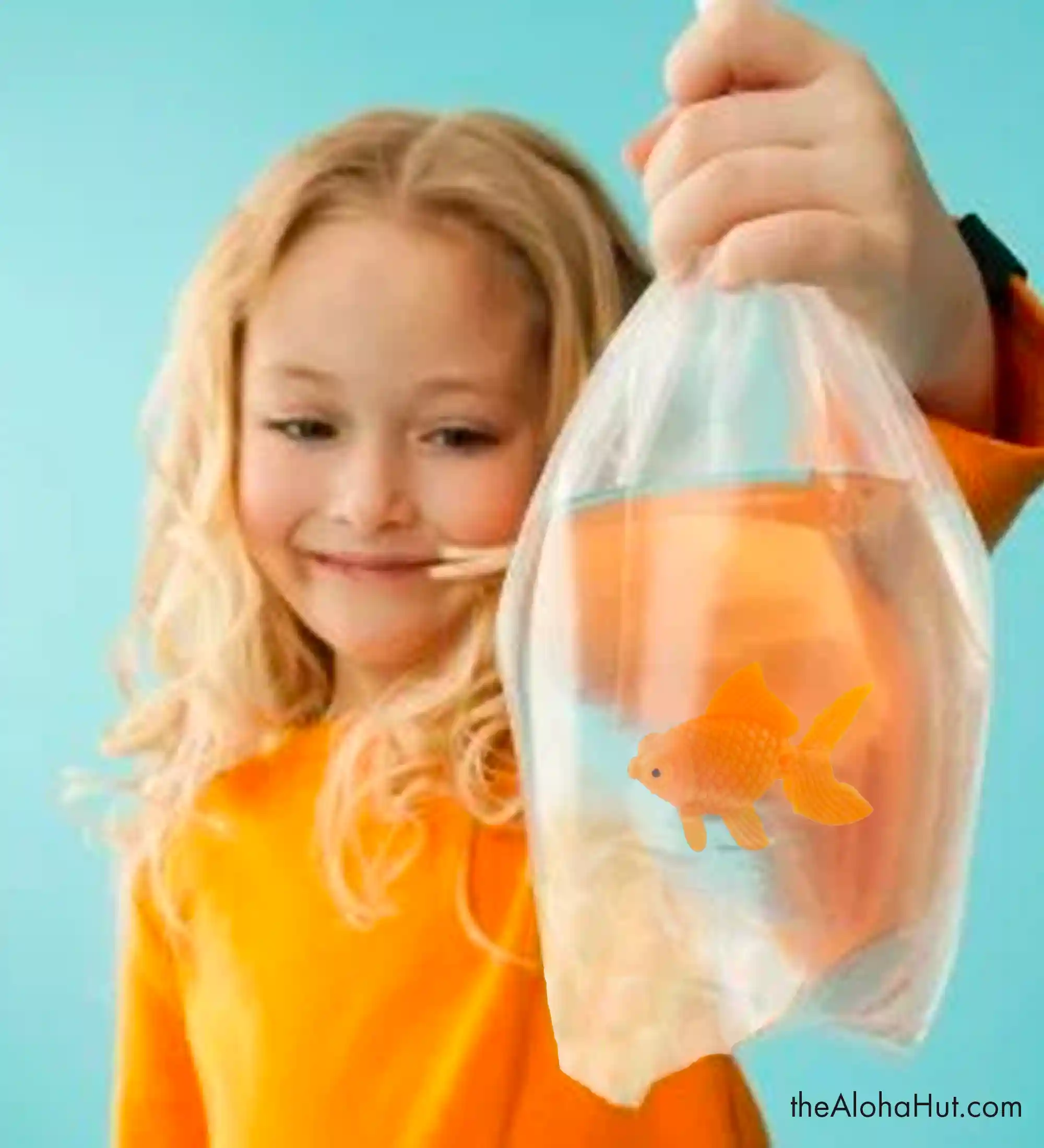 Carnival Party Ideas - Carnival party favor - fish in bag by the Aloha Hut