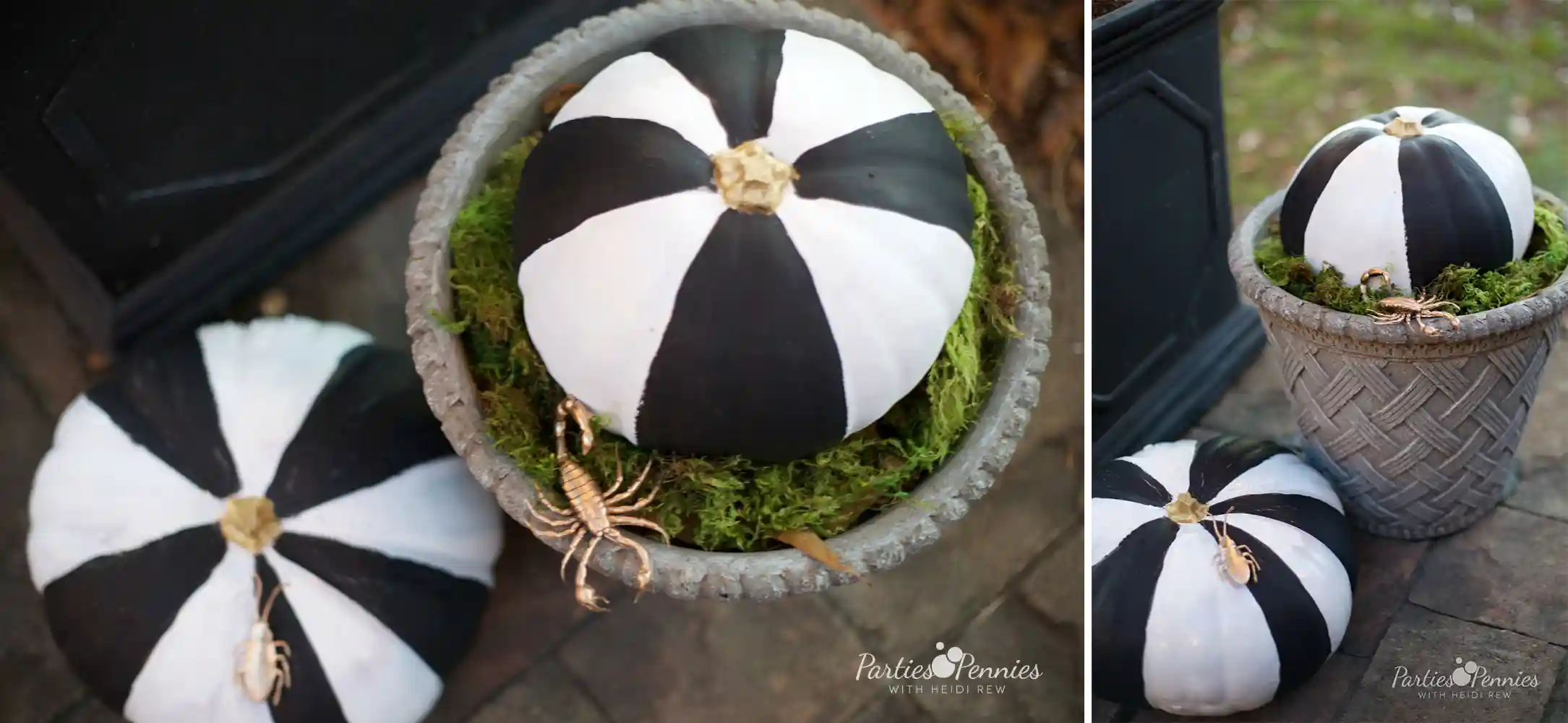 Beetlejuice Painted Pumpkins by Parties For Pennies