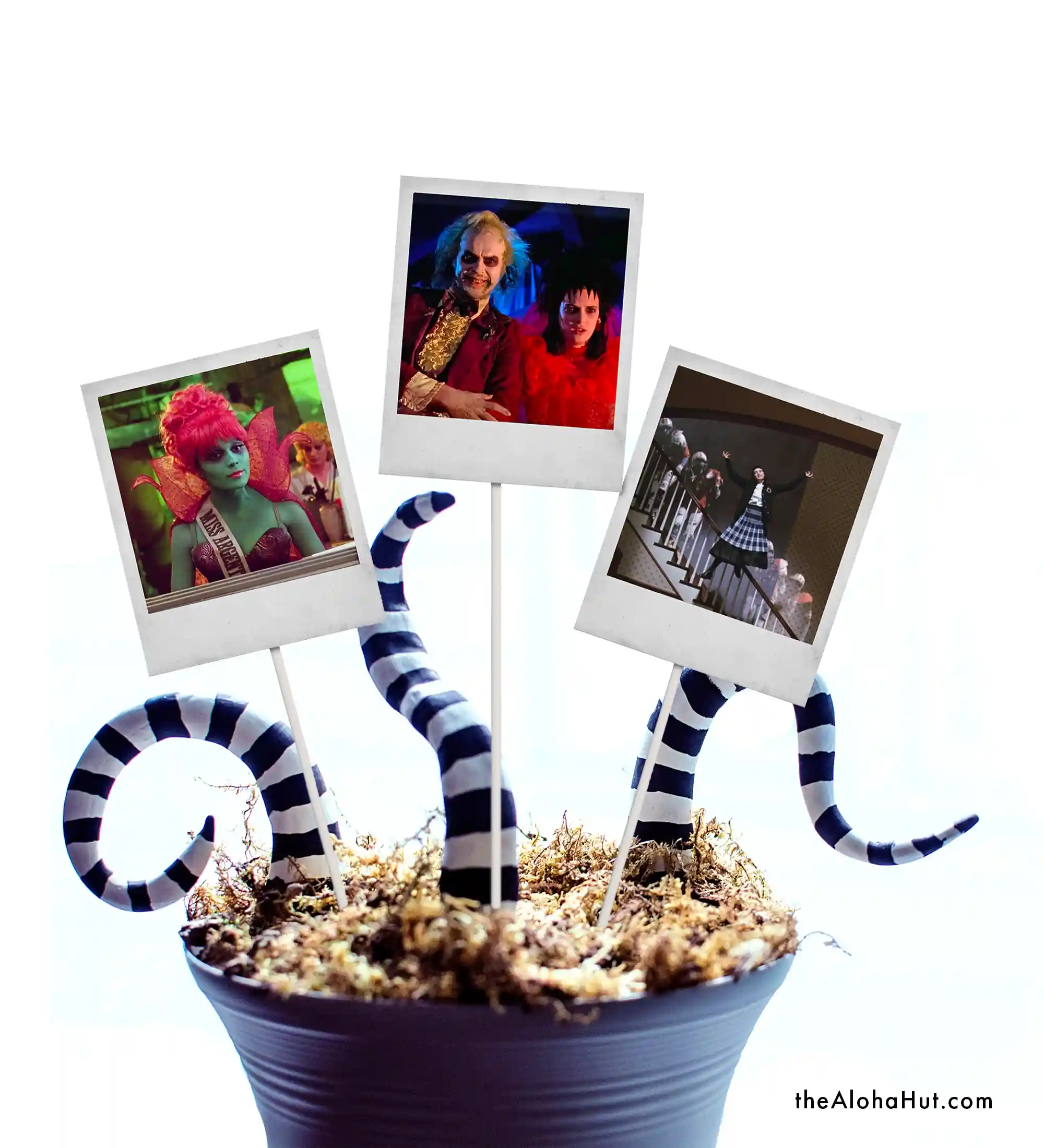 Beetlejuice Halloween Party Ideas - Polaroid Centerpieces Decor